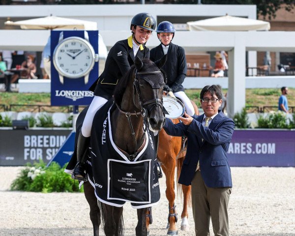jumper Erotika (KWPN (Royal Dutch Sporthorse), 2009, from Namelus R)