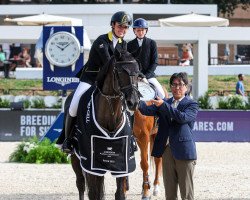 jumper Erotika (KWPN (Royal Dutch Sporthorse), 2009, from Namelus R)