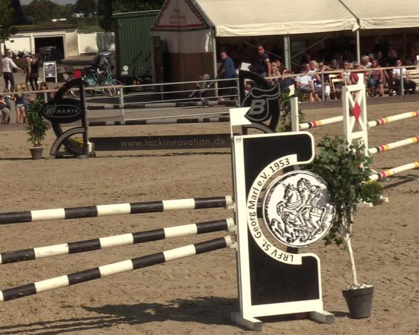 Reitturnier Marl, Hof Ostgathe 2023