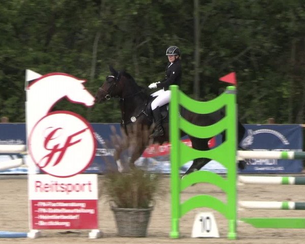 Reitturnier Scharnebeck 2023