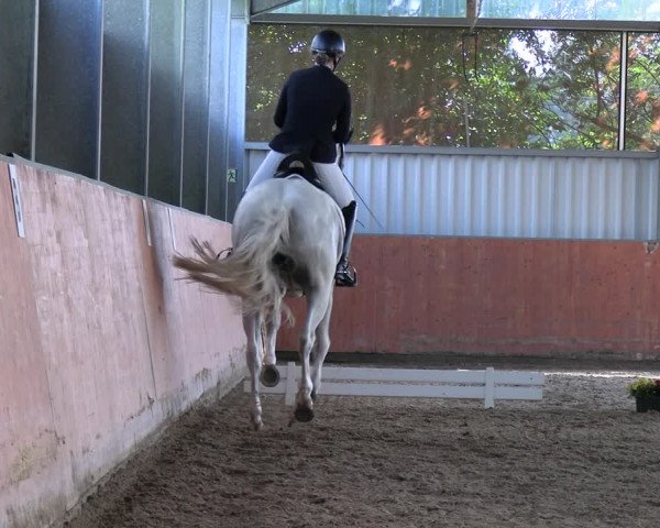 Reitturnier Marl, Hof Ostgathe 2023
