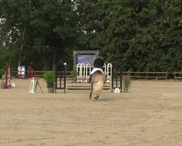 Reitturnier Scharnebeck 2023