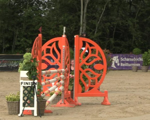 Reitturnier Scharnebeck 2023