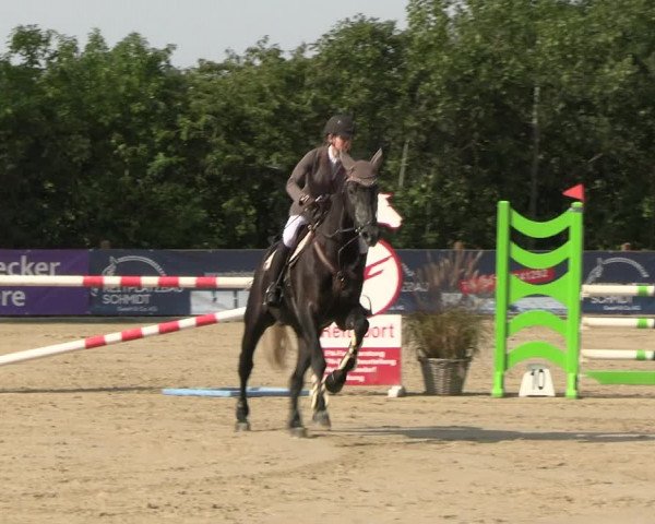 Reitturnier Scharnebeck 2023