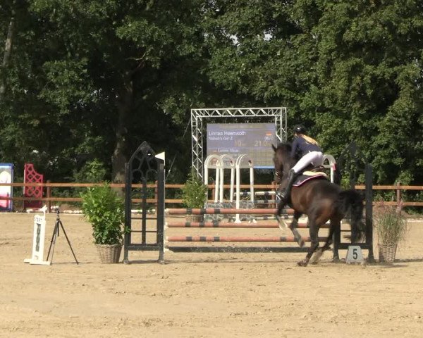Reitturnier Scharnebeck 2023