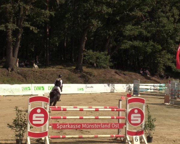 Reitturnier Albersloh 2023