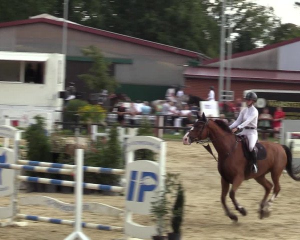 Reitturnier Albersloh 2023