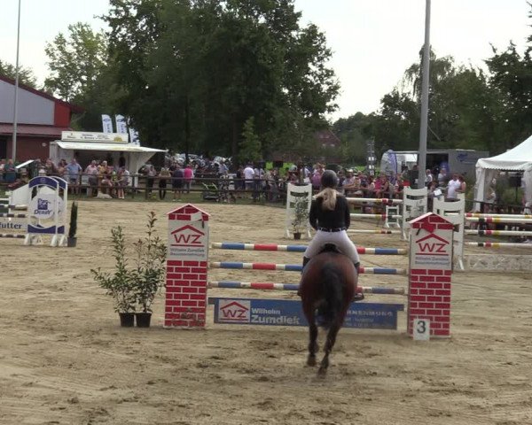 Reitturnier Albersloh 2023