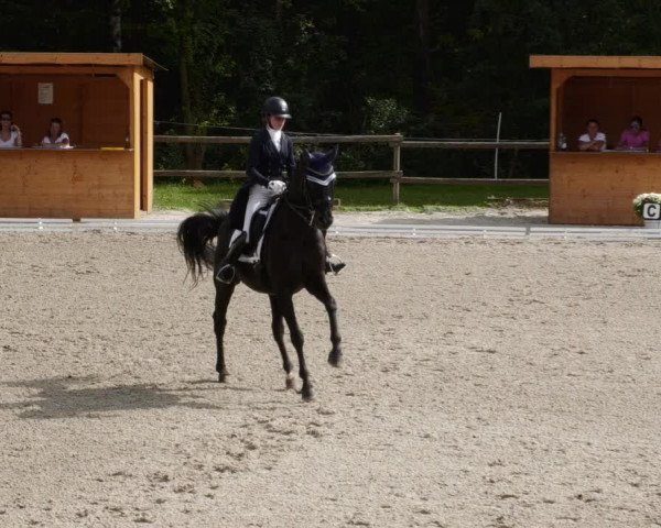 Reitturnier Ditzingen 2023
