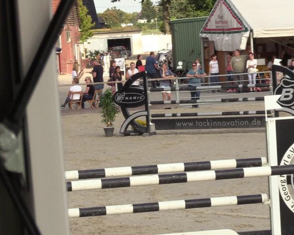 Reitturnier Marl, Hof Ostgathe 2023