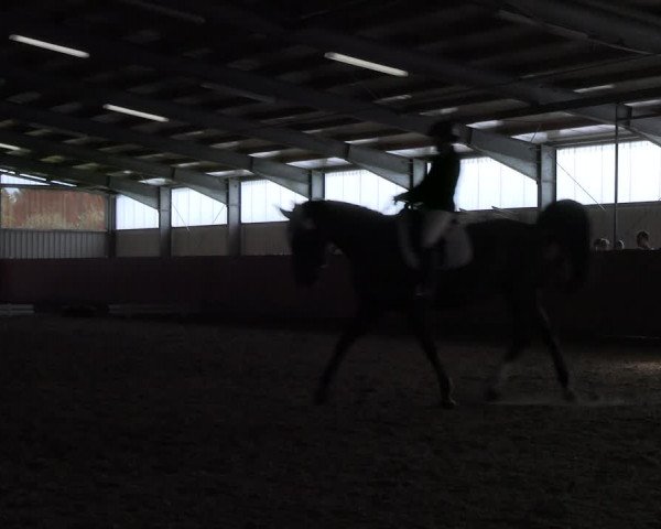 Reitturnier Marl, Hof Ostgathe 2023