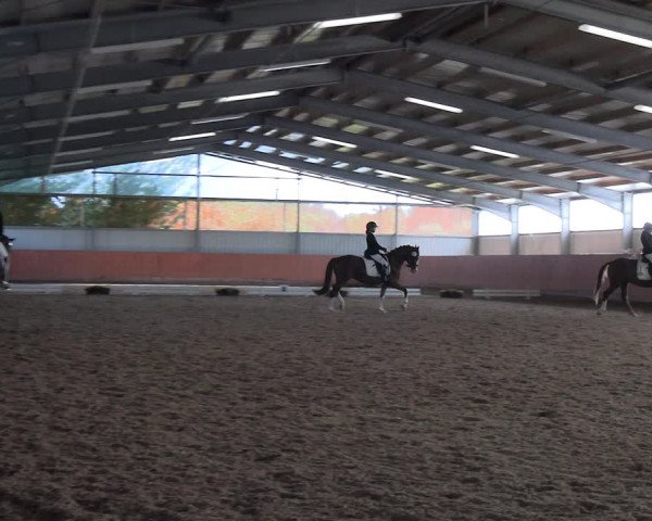 Reitturnier Marl, Hof Ostgathe 2023