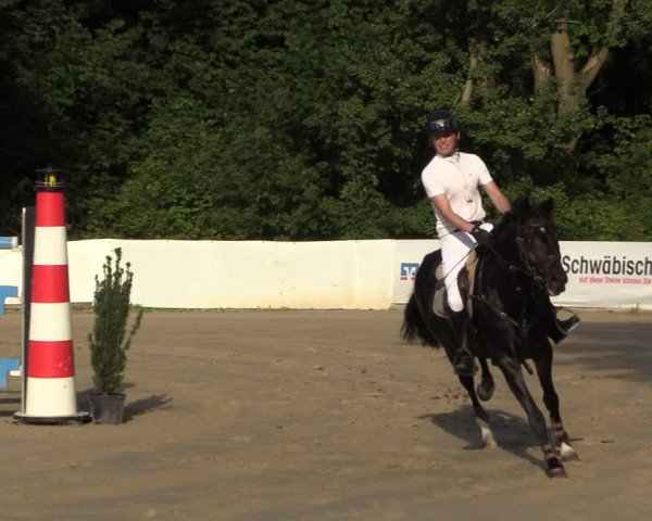 Reitturnier Buchenhof-Ibbenbüren 2023