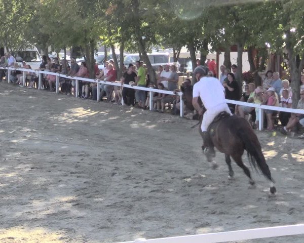 Reitturnier Bad Schmiedeberg 2023