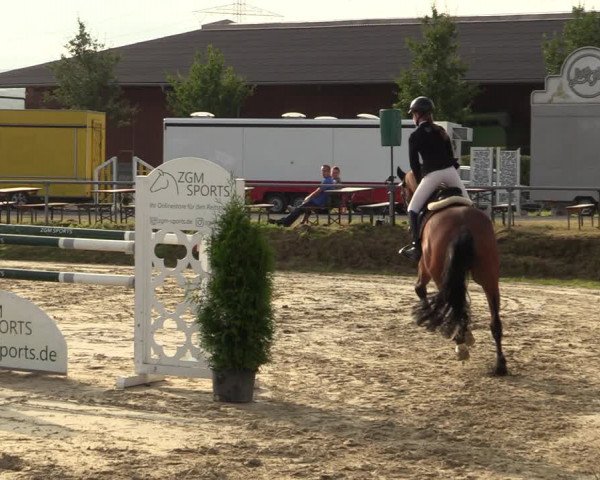 Reitturnier Dortmund-Barop 2021