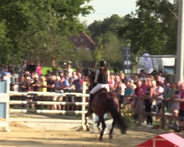 Reitturnier Albersloh 2023