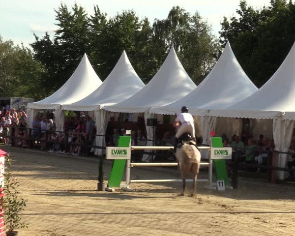 Reitturnier Albersloh 2023