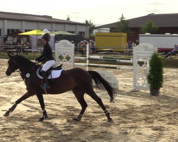 Reitturnier Dortmund-Barop 2021