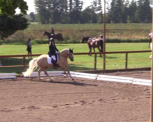 Reitturnier Lübbenau / Groß Klessow 2023
