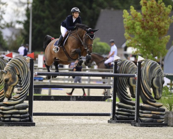 Springpferd Belica Sdn (Oldenburger Springpferd, 2013, von HH Messenger)