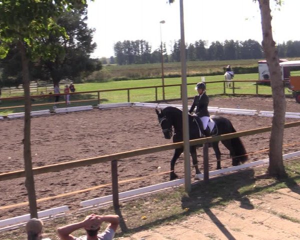 Reitturnier Lübbenau / Groß Klessow 2023