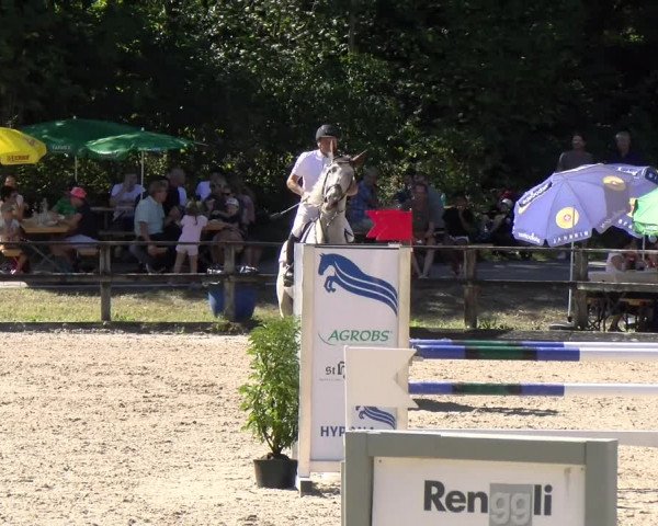 Reitturnier Sins 2023