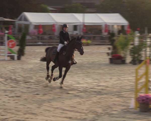 Reitturnier Loop/ Looperholz 2023