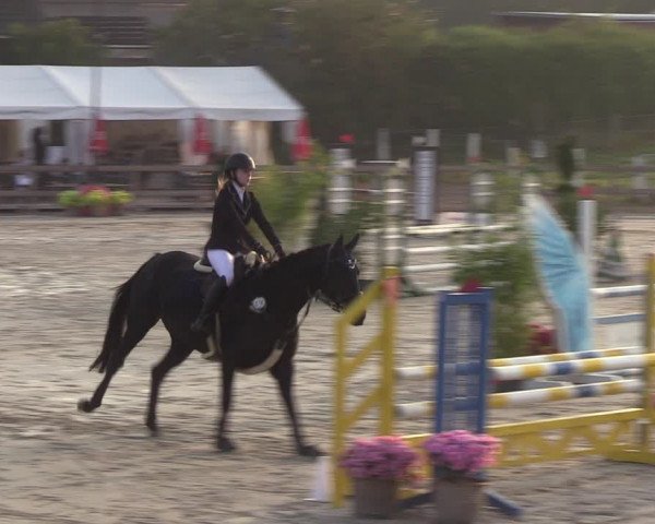 Reitturnier Loop/ Looperholz 2023
