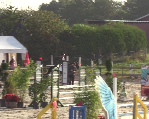 Reitturnier Loop/ Looperholz 2023