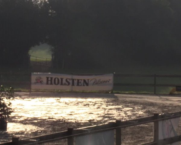Reitturnier Loop/ Looperholz 2023