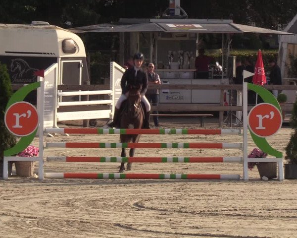 Reitturnier Loop/ Looperholz 2023