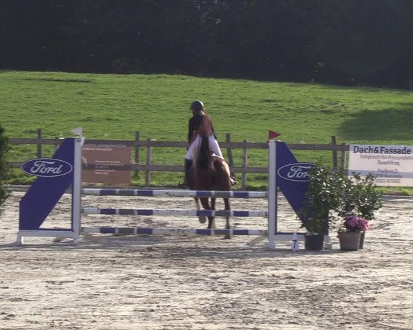 Reitturnier Loop/ Looperholz 2023