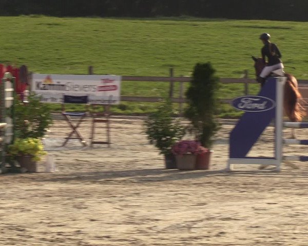 Reitturnier Loop/ Looperholz 2023