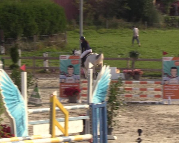 Reitturnier Loop/ Looperholz 2023