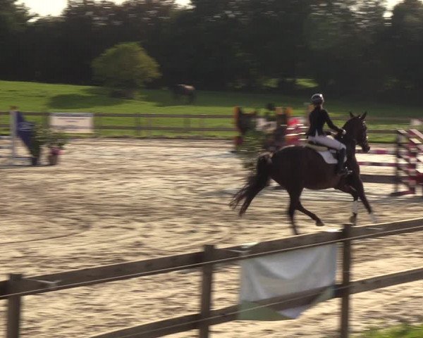 Reitturnier Loop/ Looperholz 2023