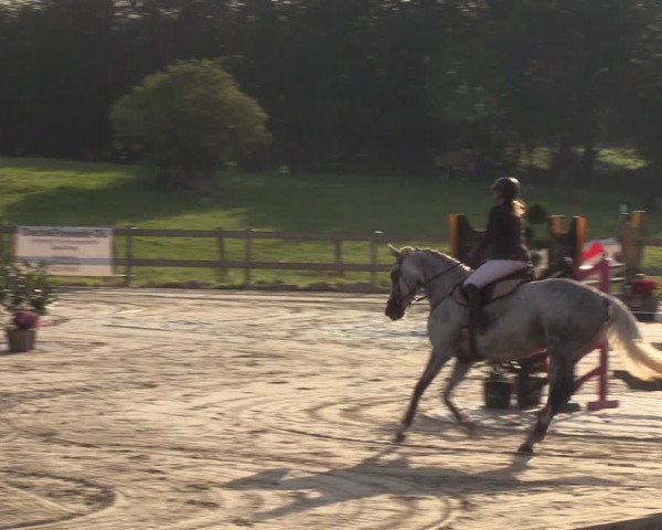 Reitturnier Loop/ Looperholz 2023