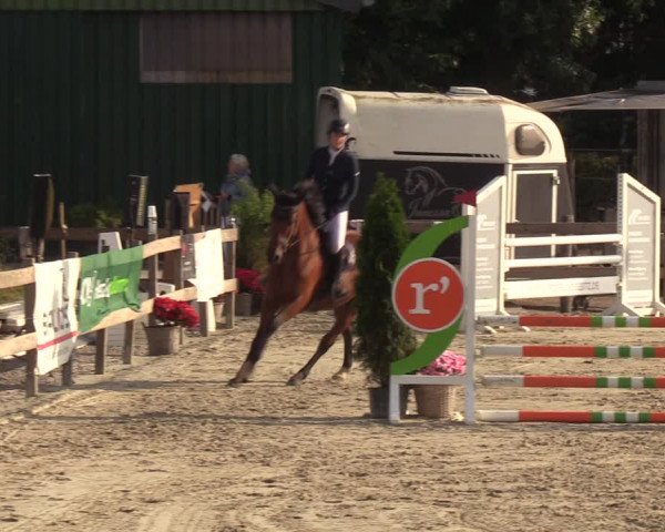 Reitturnier Loop/ Looperholz 2023