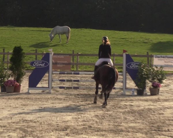 Reitturnier Loop/ Looperholz 2023