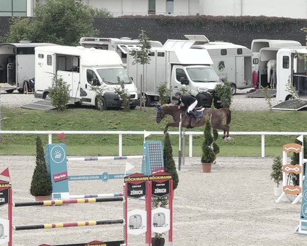 Pferdesporttage Bülach 2021