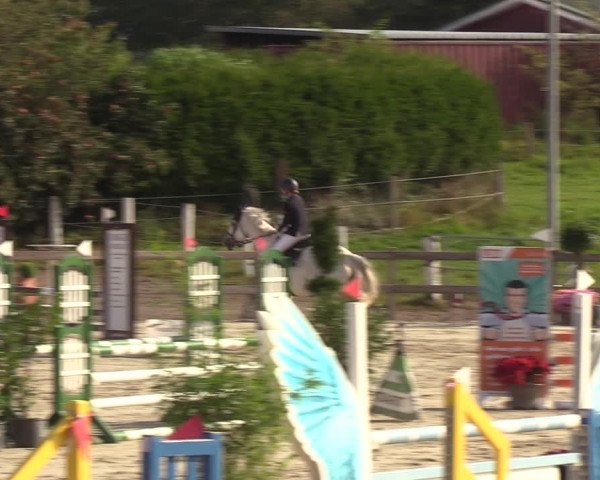 Reitturnier Loop/ Looperholz 2023
