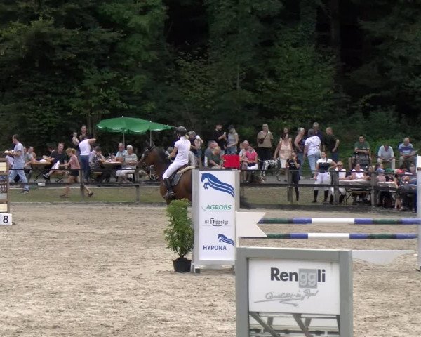 Reitturnier Sins 2023