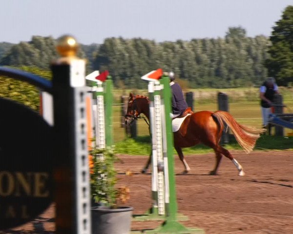Reitturnier Lentzke - Reitanlage Krehl 2023