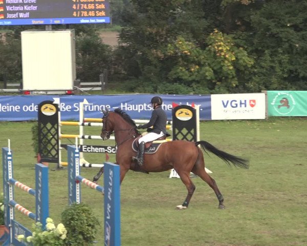 Reitturnier Scharnebeck 2023