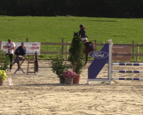 Reitturnier Loop/ Looperholz 2023