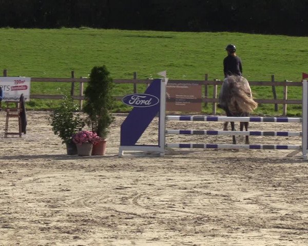 Reitturnier Loop/ Looperholz 2023