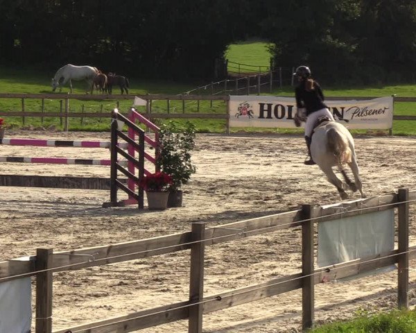 Reitturnier Loop/ Looperholz 2023