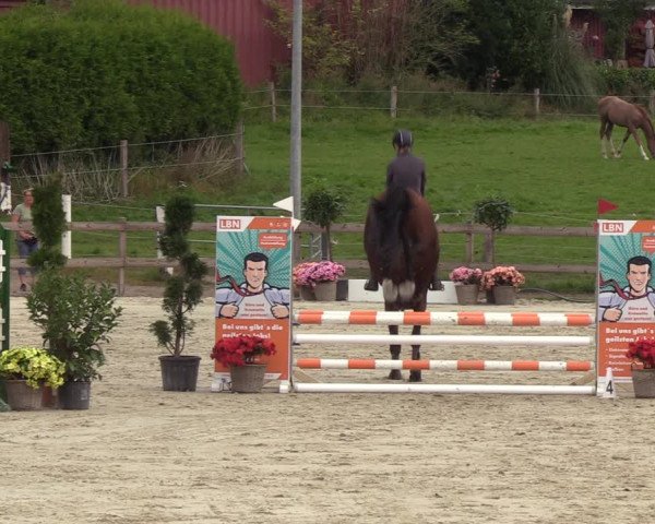 Reitturnier Loop/ Looperholz 2023