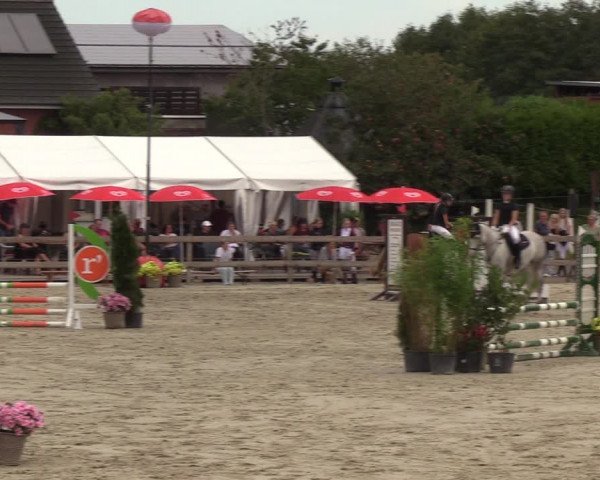 Reitturnier Loop/ Looperholz 2023