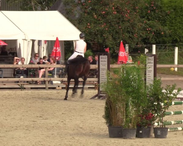 Reitturnier Loop/ Looperholz 2023