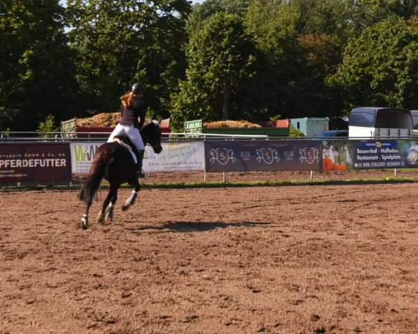 Reitturnier Lentzke - Reitanlage Krehl 2023